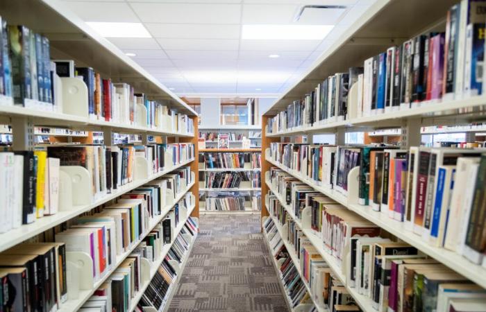 Los libros más populares en las bibliotecas en 2024