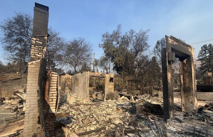 Víctimas belgas de los terribles incendios de Los Ángeles: “Nuestra casa en Altadena y nuestra ciudad desaparecieron en una noche”