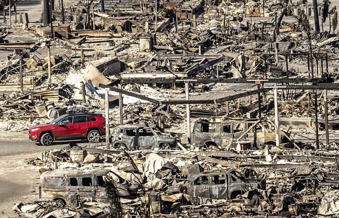 Incendios en Los Ángeles: el número de muertos aumenta a 24