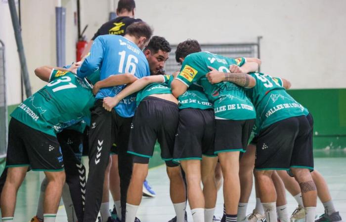 Balonmano. Fin de la aventura de la Copa de Francia para los Assonnais