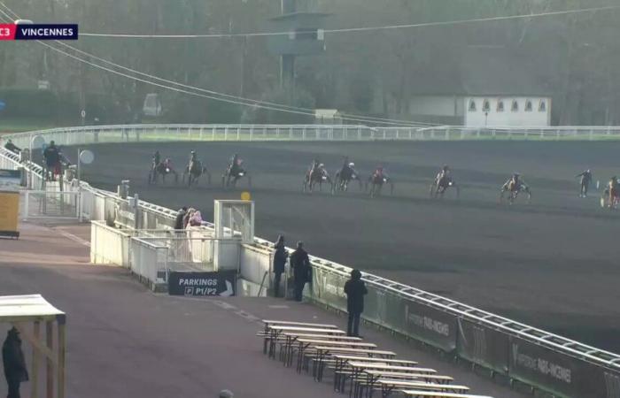 PX LES SENIORS DES COURSES (PX D’EVIAN) – PARIS-VINCENNES – 11/01/2025: salidas, predicciones y resultados en vídeos – Carrera 3