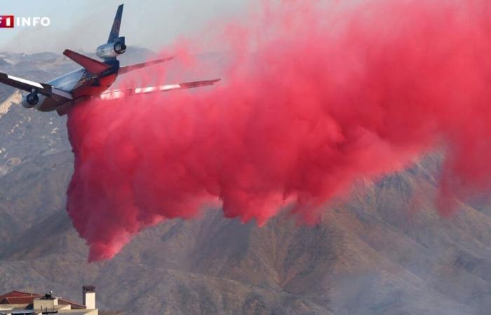 EN VIVO – Incendios en Los Ángeles: el número de muertos aumenta a 16, el incendio se extiende a nuevas zonas