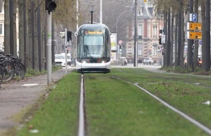 ¿Cómo explicar el accidente entre dos tranvías?