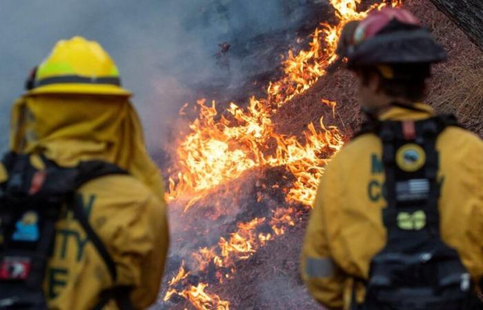 Los incendios en Los Ángeles han matado a 16 personas y continúan propagándose