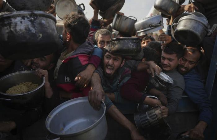 Diplomáticos se unen a la protesta para exigir un acuerdo de alto el fuego en Gaza y la liberación de rehenes.