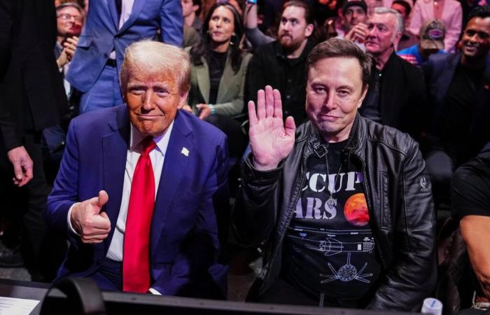 EE.UU.: Elon Musk, influencer y jefe de Donald Trump