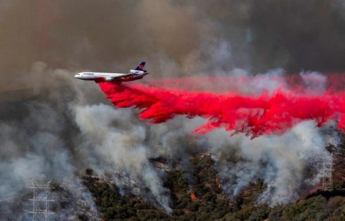 Ex estrella infantil gravemente discapacitada muere a los 32 años en incendios de Los Ángeles