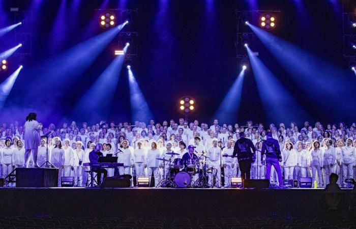 500 cantantes estrella del concierto de las canciones francesas más bellas