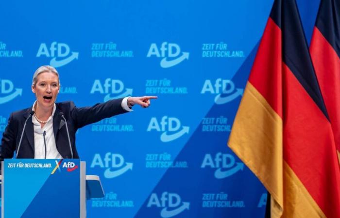 Alice Weidel, candidata a canciller alemana por AfD