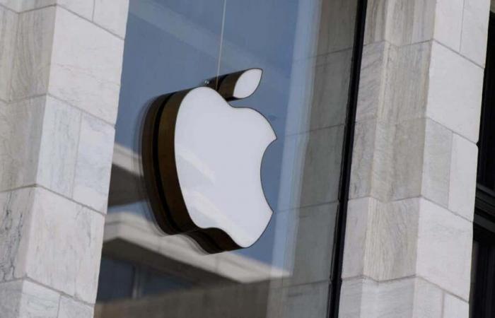 Apple quiere mantener los programas de diversidad repudiados por otras empresas