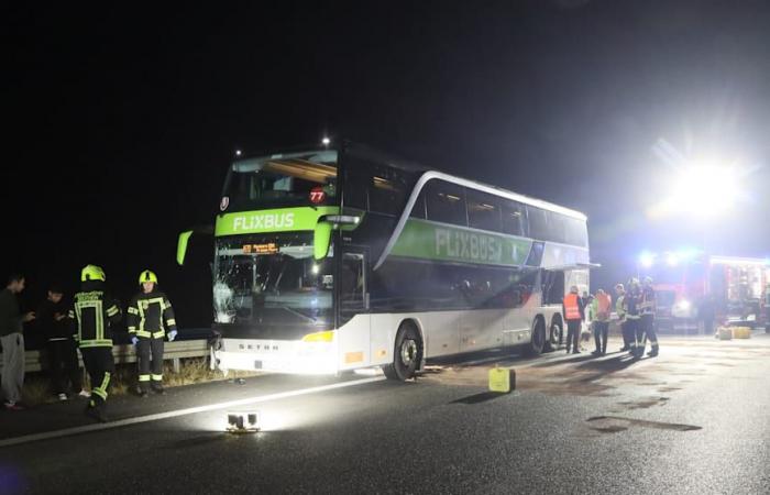 Dos muertos en un accidente en la autopista: el expediente del accidente de Flixbus | Regional