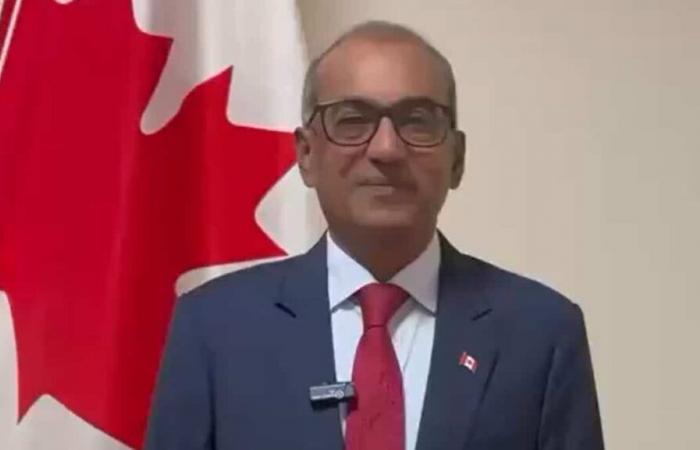 Carrera por el liderazgo del Partido Liberal de Canadá: ¿dónde estamos?