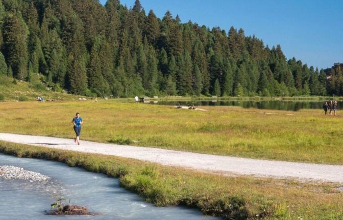 Gard: un corredor entre la vida y la muerte tras ser atacado con un cuchillo por un hombre en un parque