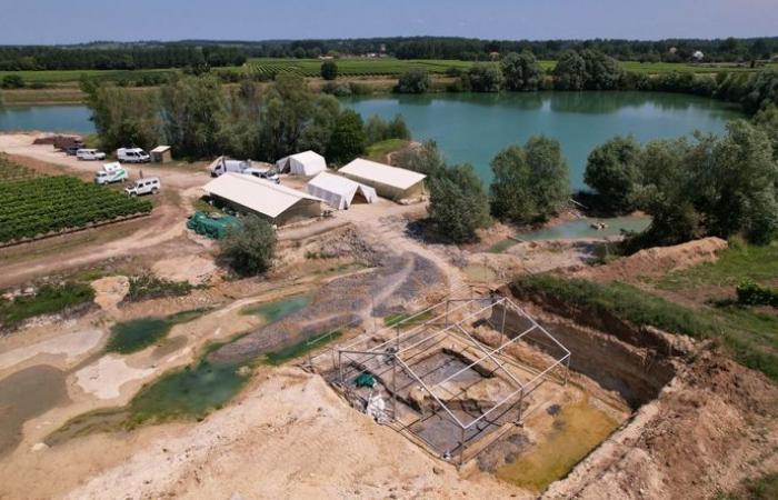 “Nunca pensamos que encontraríamos una nueva especie” en el sitio de Angeac, en Charente