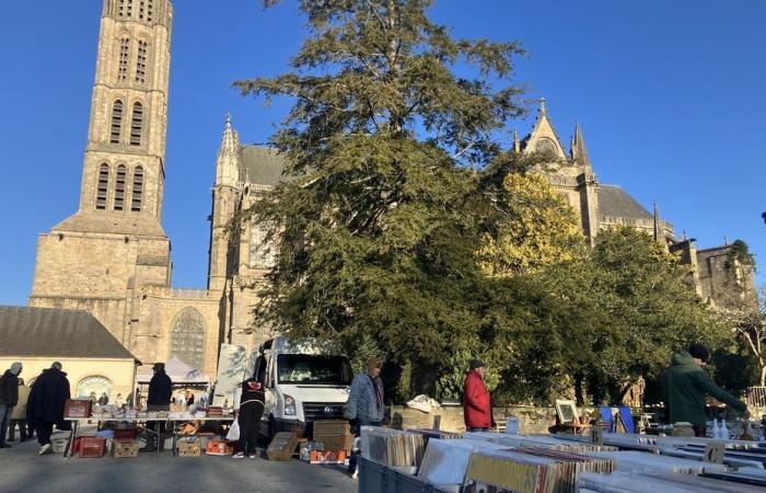 En Limoges, una parte de los Puces de la Cité se instala en los jardines del Évêché