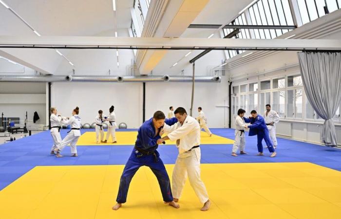 Yverdon: nuevo dojo listo para los mejores judokas