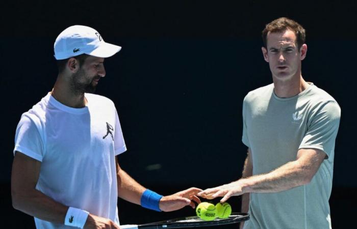 Recién contratado, ¿qué puede aportar Andy Murray a Novak Djokovic?