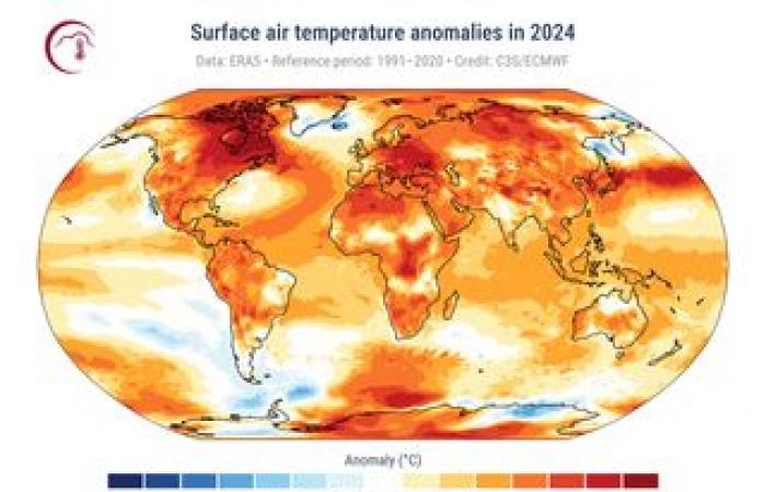 ¿Podemos revertir la destrucción de los bosques tropicales del mundo?