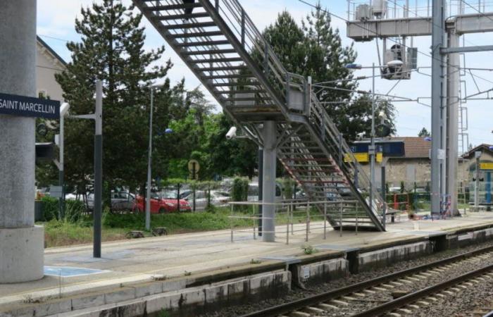 Isère. Una mujer de 22 años da a luz en el tren con la ayuda de un revisor