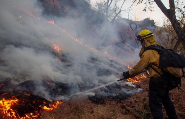 Zelensky propone enviar bomberos ucranianos