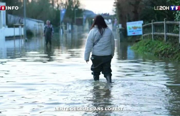 Lento declive en Occidente | INFORMACIÓN TF1