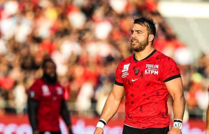 Toulon – Harlequins: el resumen de la victoria mejorada del RCT