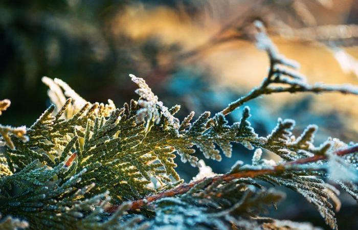 MAPA. Clima: en alerta por “mucho frío”, Aveyron vio sus mínimas caer a -9°C este domingo