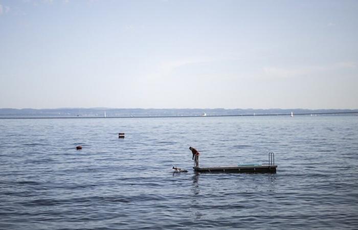 Hueso encontrado cerca del accidente de avión en el lago de Constanza