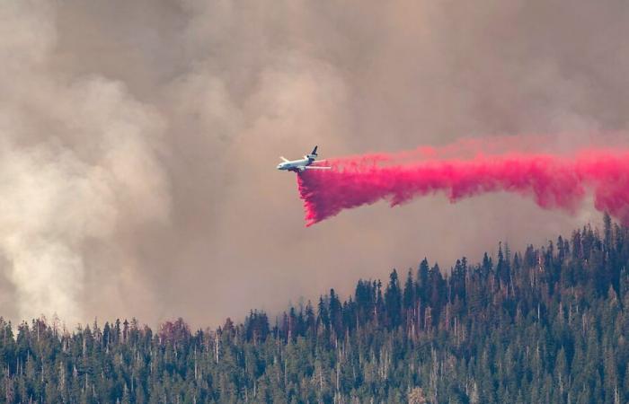 Incendios en California: 60 bomberos canadienses desplegados