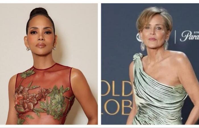 Halle Berry dona su ‘armario entero’ a las víctimas de los incendios forestales de Los Ángeles; agradece a Sharon Stone por defender la causa | hollywood