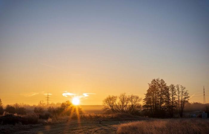 ¿Qué esperar? ¿Sol y suavidad o persistencia del frío?