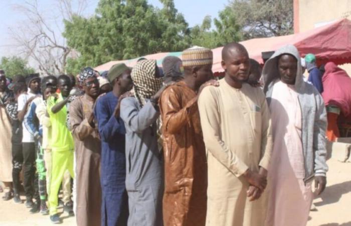 Níger: 124 excombatientes de Boko Haram regresan a la vida civil