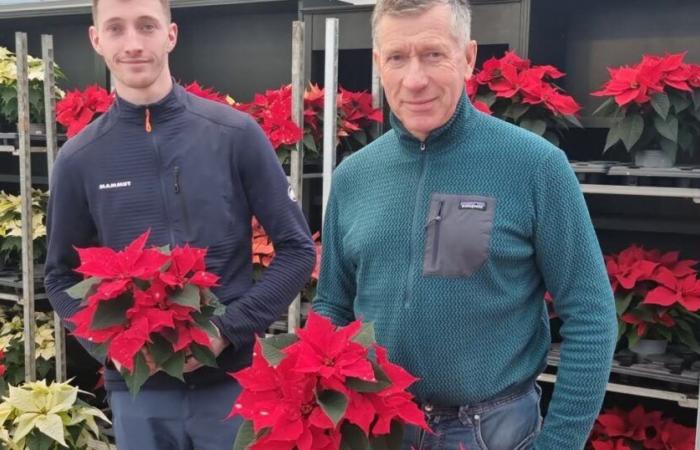 Champenoux. El premio acumulado en línea no fue suficiente para salvar Décor’Jardin