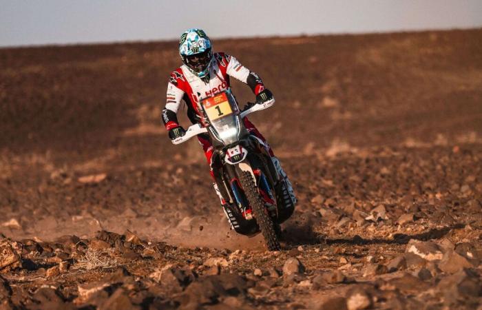 El campeón del mundo de Rally-Raid, Ross Branch, se retira del Dakar.