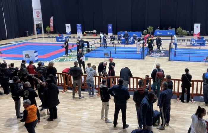 NÎMES Vuelve la Copa de Francia de Karate Zona Sur