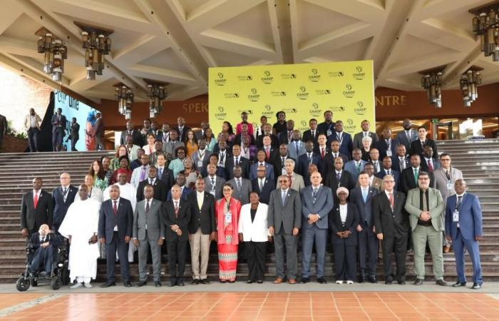 Clausura de la Cumbre del CAADP con la adopción de la Declaración de Kampala