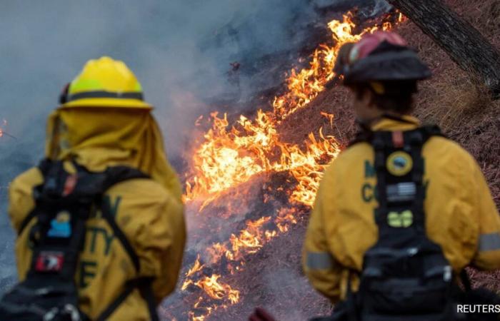 24 muertos y más de 12.000 estructuras quemadas en incendios forestales de Los Ángeles: 10 puntos