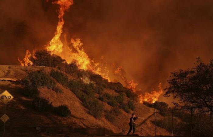 Incendios en Los Ángeles: el número provisional de muertos asciende a 16, las llamas ganan terreno