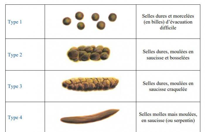 Desmitificando la ciencia | Sillas de montar en el banquillo