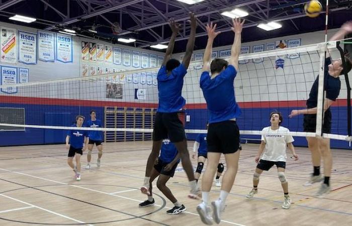 El secreto de los Grifos del Cégep de l’Outaouais en el voleibol