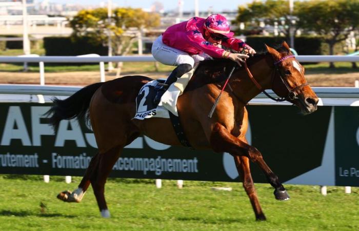 13/01 en Cagnes-sur-Mer – Premio Albert Taton: Arrow Eagle en vigor