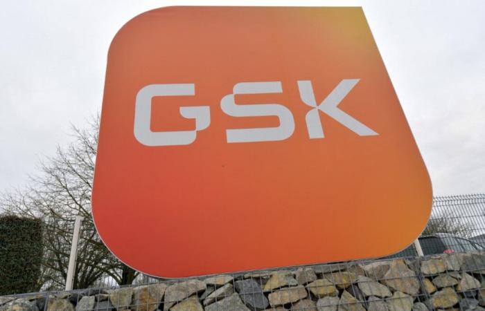 GSK compra el IDRx estadounidense por hasta 1.150 millones de dólares – 13/01/2025 a las 11:19