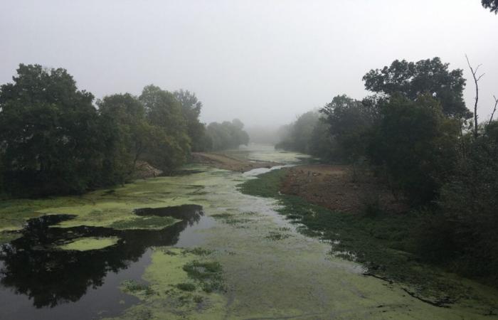 Saumuróis. Inundaciones históricas en el Loira y en Thouet