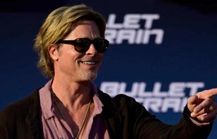 Un falso Brad Pitt la estafa con 830.000 euros