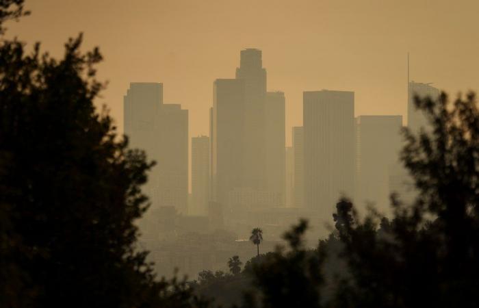 Vea cómo los incendios de Los Ángeles destruyeron vecindarios