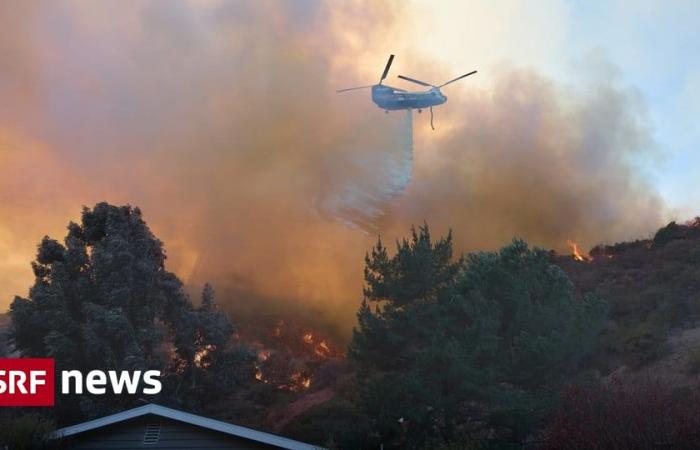 Incendios forestales en la costa oeste de EE. UU. – 24 muertos en incendios en Los Ángeles – Preocupación por nuevos vientos – Noticias