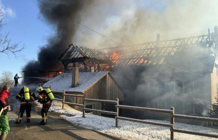 Incendio de una granja en Peney-le-Jorat (VD): 30 cabezas de ganado muertas