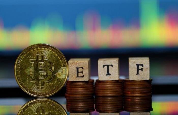 ¿Busca exposición a Bitcoin con protección a la baja? Ahora existe un ETF para eso (CORREGIDO)