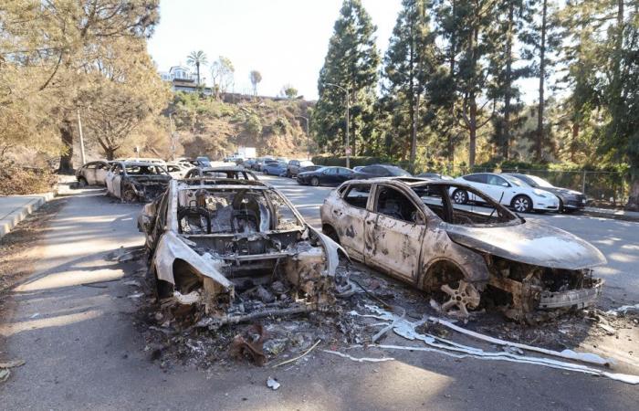 Calma para los incendios | La prensa