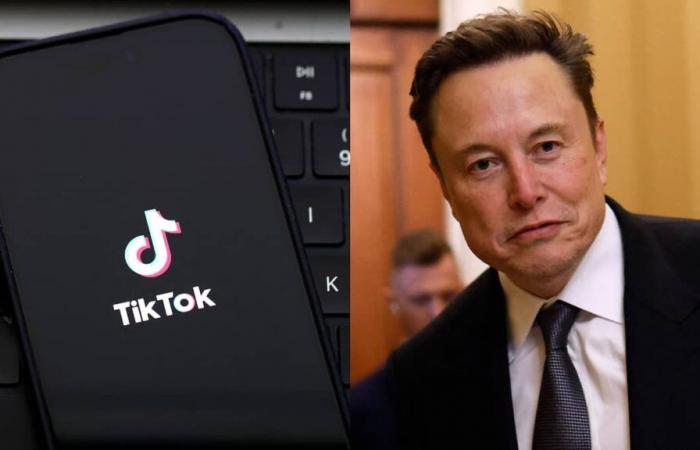 Se informa que Elon Musk está en conversaciones para comprar TikTok